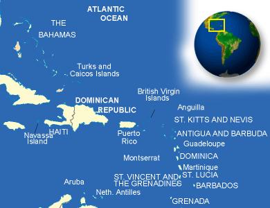 caribbean top car importer exporter thailand